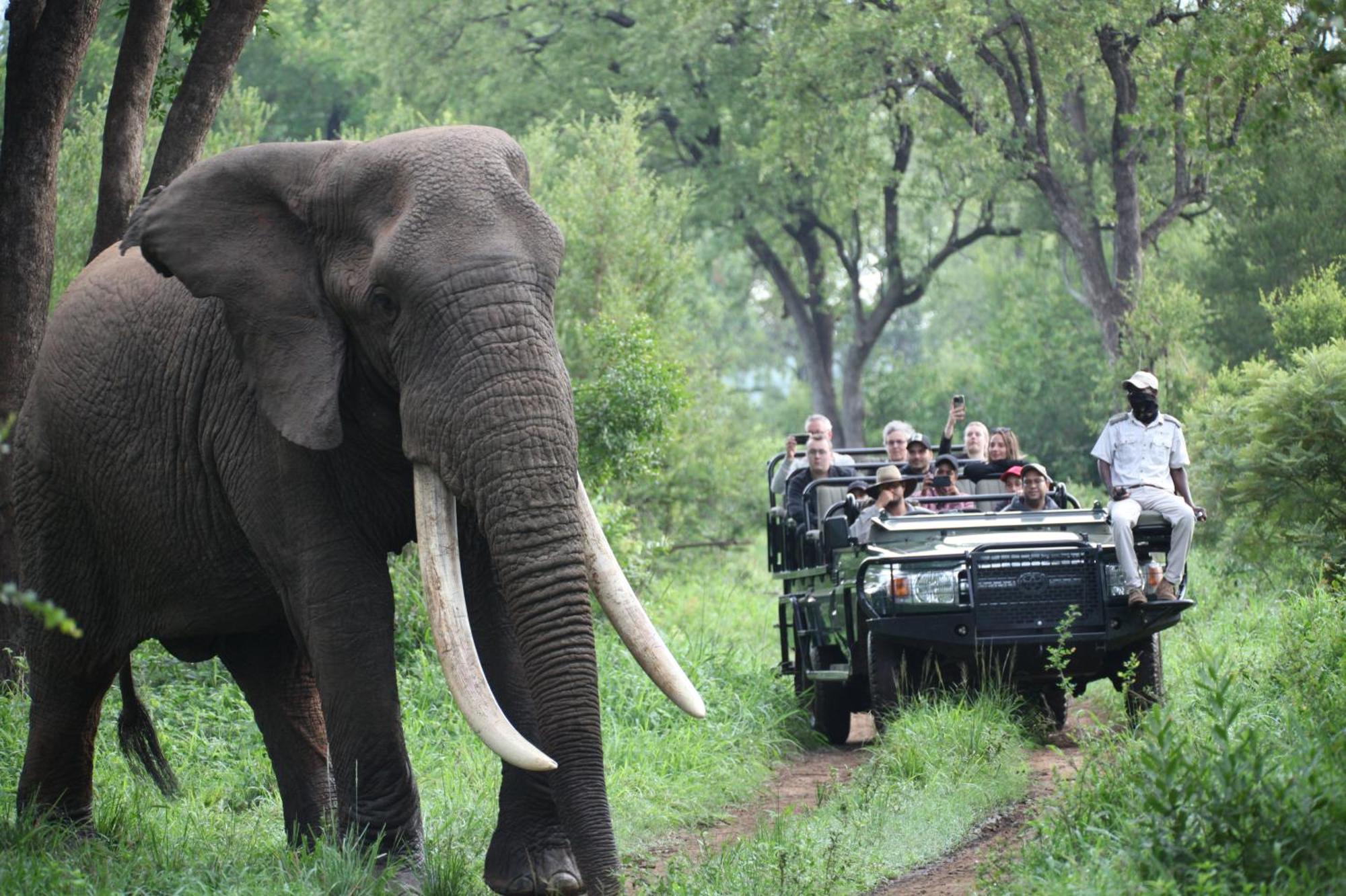 Karongwe Game Reserve Karongwe Portfolio - Becks Safari Lodge מראה חיצוני תמונה