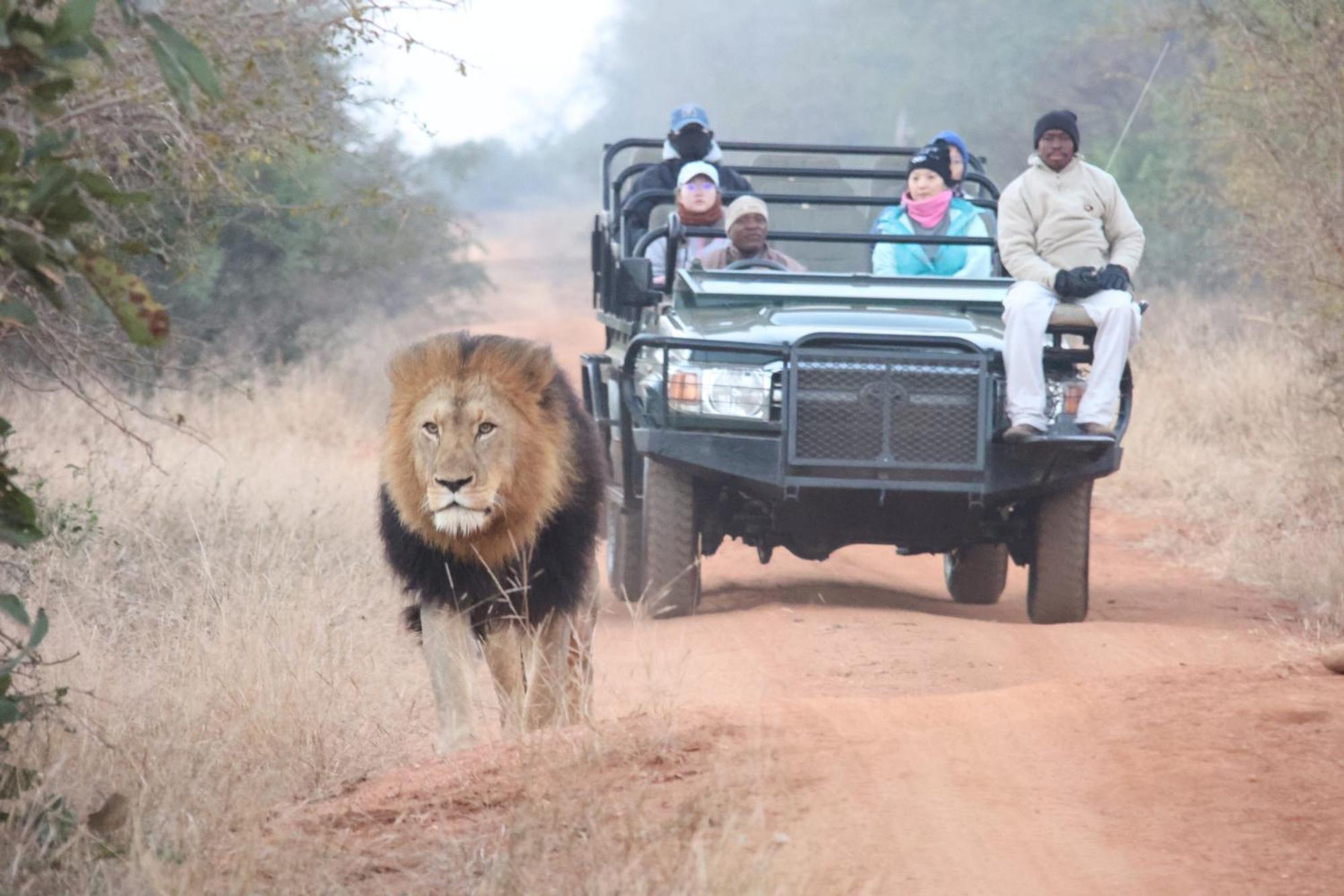 Karongwe Game Reserve Karongwe Portfolio - Becks Safari Lodge מראה חיצוני תמונה