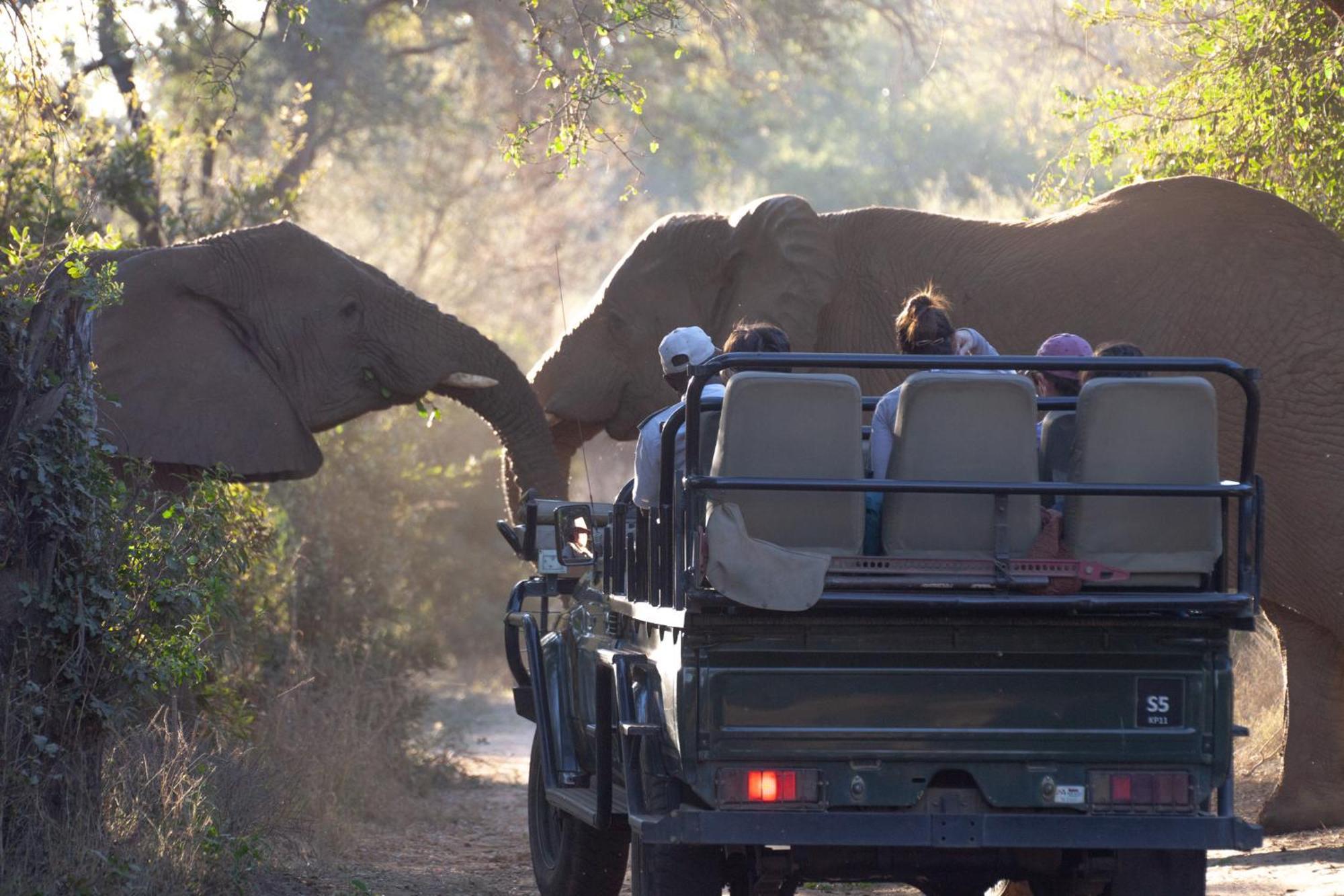 Karongwe Game Reserve Karongwe Portfolio - Becks Safari Lodge מראה חיצוני תמונה